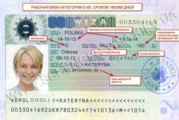 Что такое рабочая виза