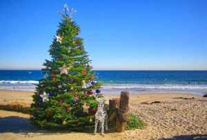 новогодняя елка на пляже