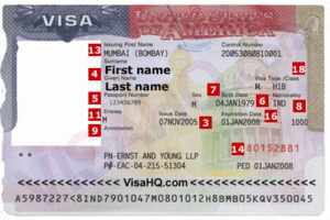 Так выглядит виза в США категории H1B