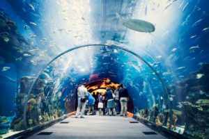 Океанариум Dubai Mall Aquarium