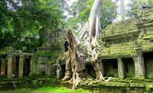 Пропавший город Ангкор.
