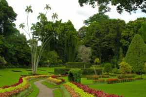 Королевский сад пряностей на острове Маэ