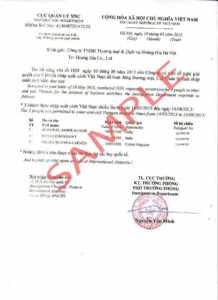 Подтверждающее письмо для визы во Вьетнам (Approval Letter)
