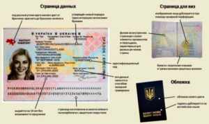 Биометрический паспорт в Украине.