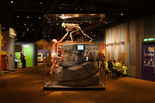 экспозиции денверского музея