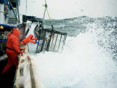 Суровая ловля рыбы на Аляске
