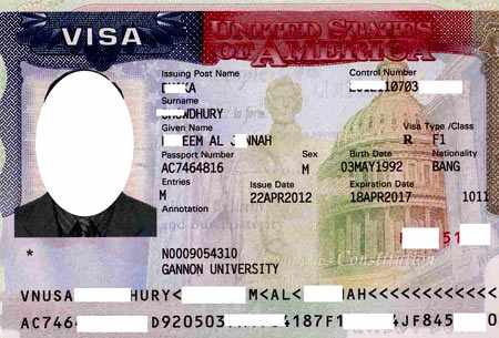 американская виза 